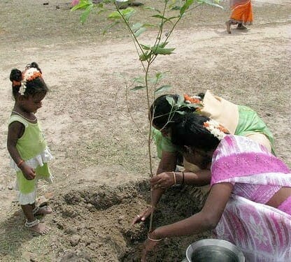 indian women planting tree