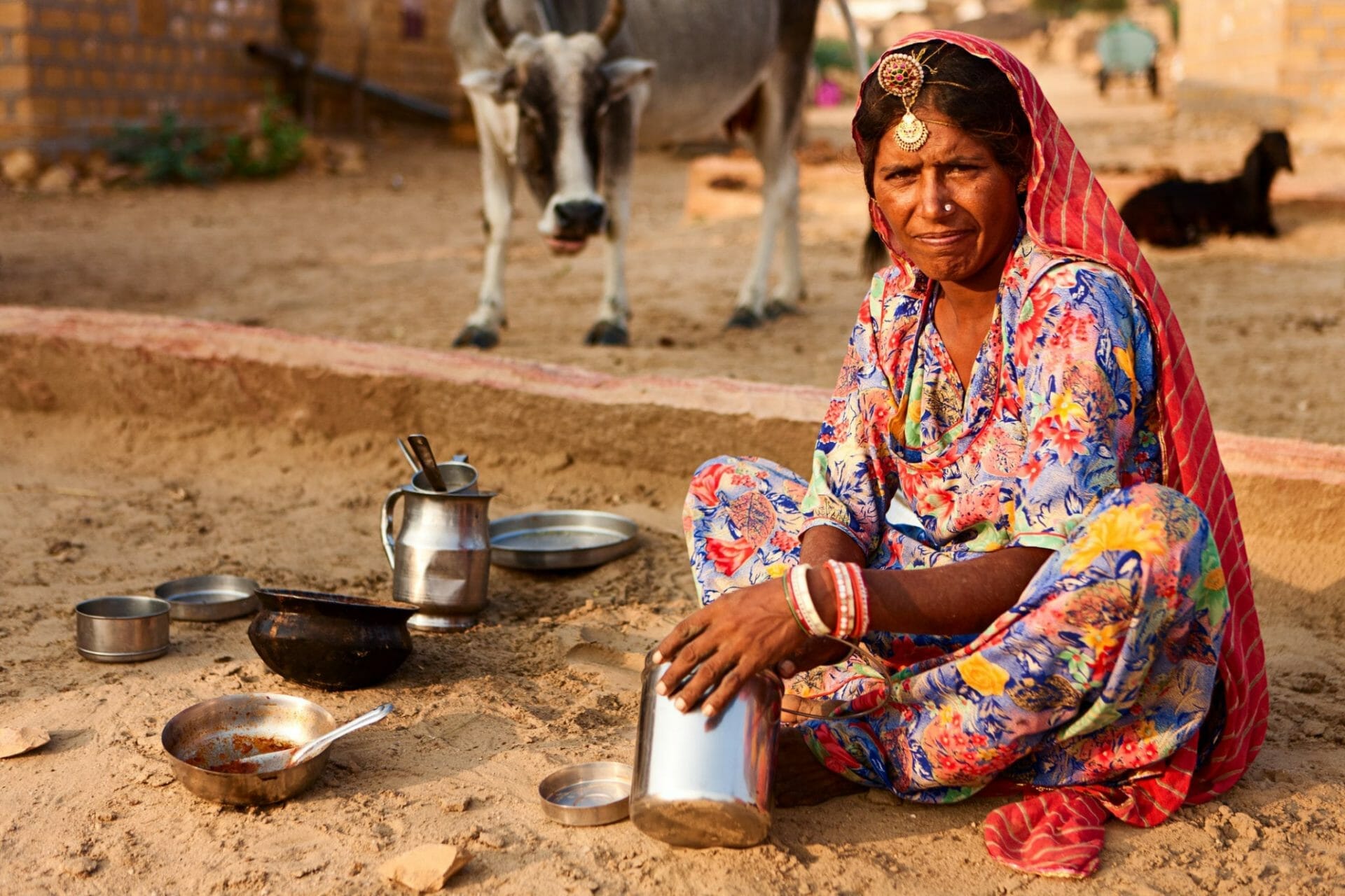 Women in the Window International